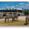 Africam Safari + Tecali, 27 de Abril - Image 2