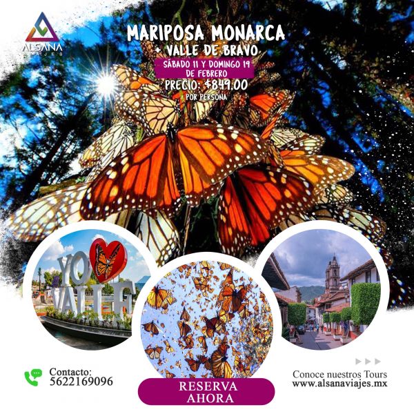 Mariposa Monarca + Valle de Bravo, 19 de Febrero