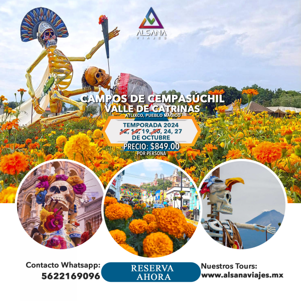 Campos de Cempasúchil + Valle de Catrinas Atlixco, Temporada 2024, Octubre