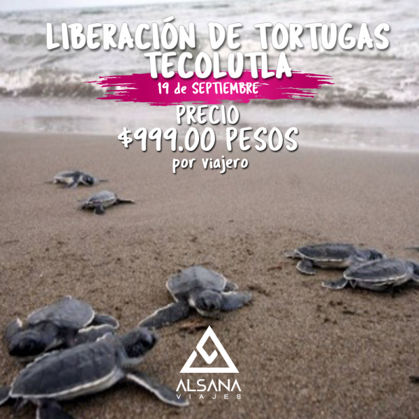 LIBERACIÓN DE TORTUGAS, TECOLUTLA, 19 de Septiembre