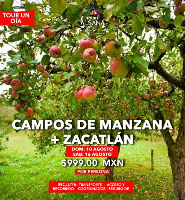 Campo de Manzana + Zacatlán, 10 y 16 de Agosto