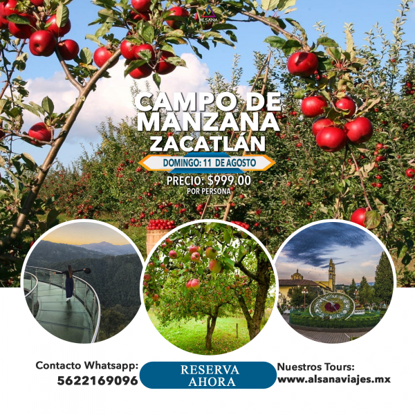 Campo de Manzana + Zacatlán, 11 de Agosto