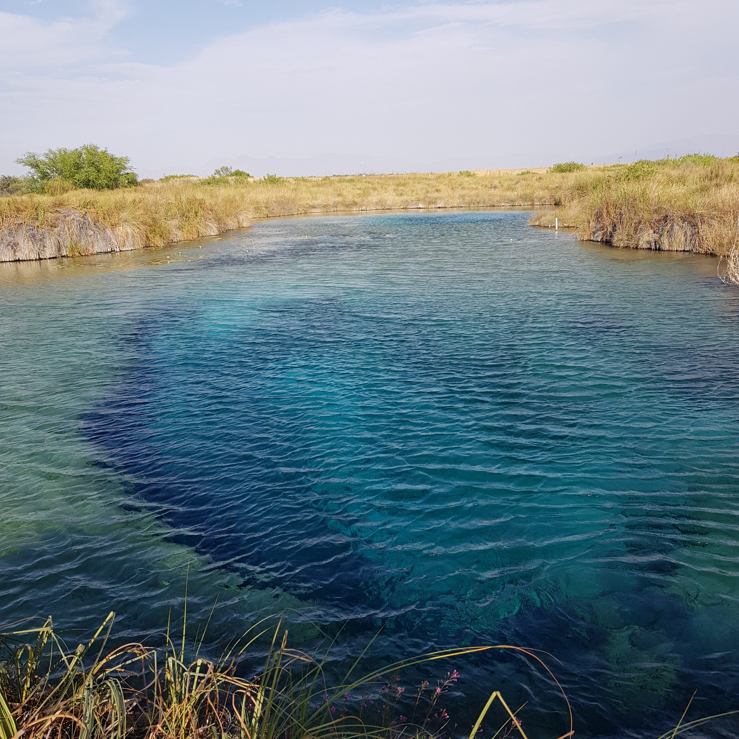 Cuatro Ciénegas, Tour Aéreo Exprés, Mayo, Agosto, Octubre - Image 4