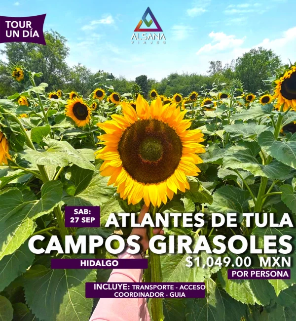 Campos de Girasoles + Atlantes de Tula, 27 Sep, 05 Oct
