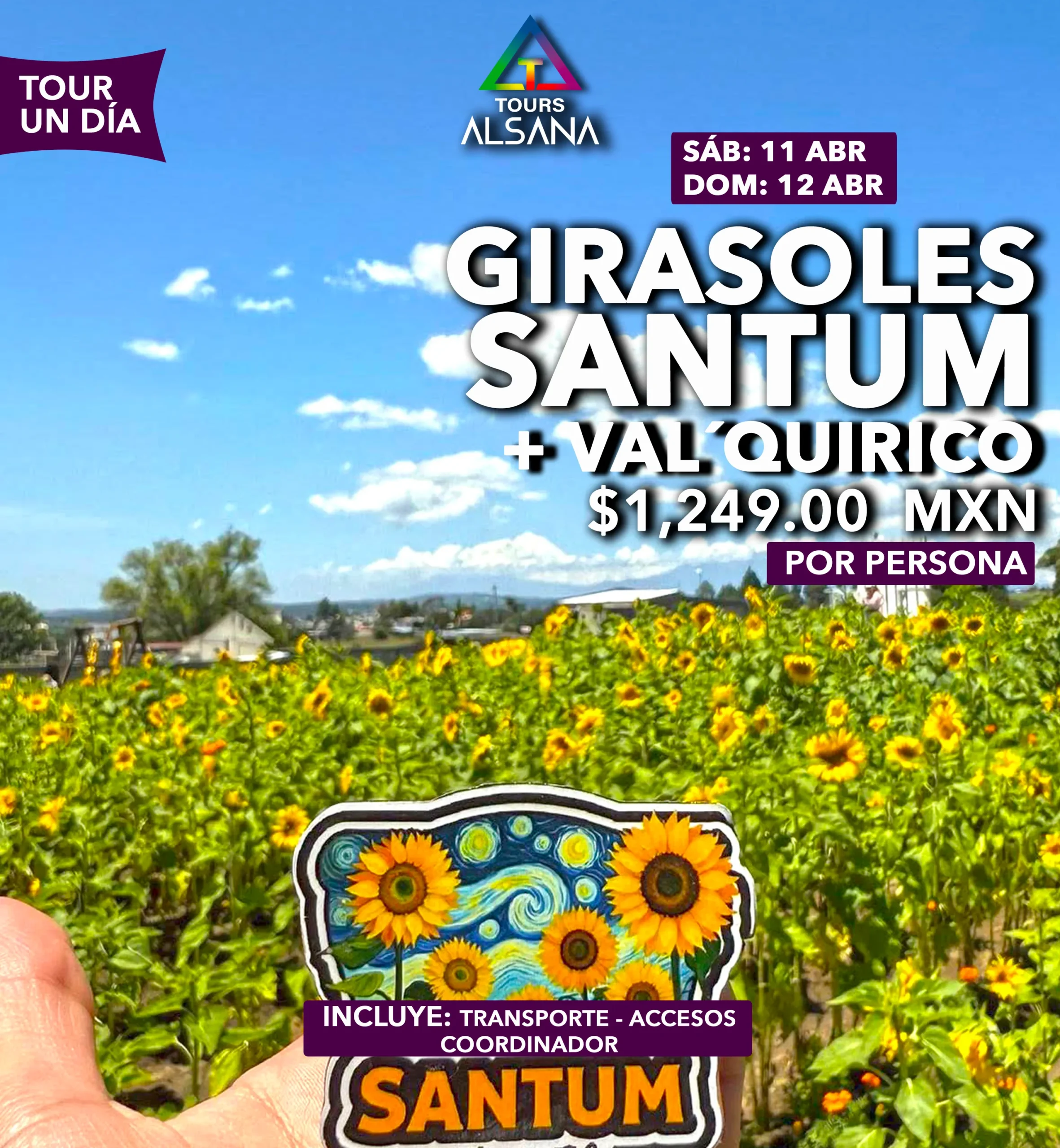 Campos de Girasoles y Val´quirico, 11 y 12 de Abril