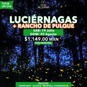 Luciérnagas + Pulque 2025, 19 Jul, 03 Agt
