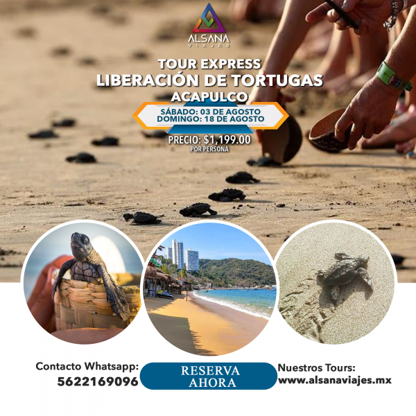 Liberación de Tortugas Acapulco Exprés, 21 Septiembre