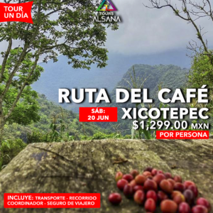 Ruta del Café Xicotepec, 20 de Junio