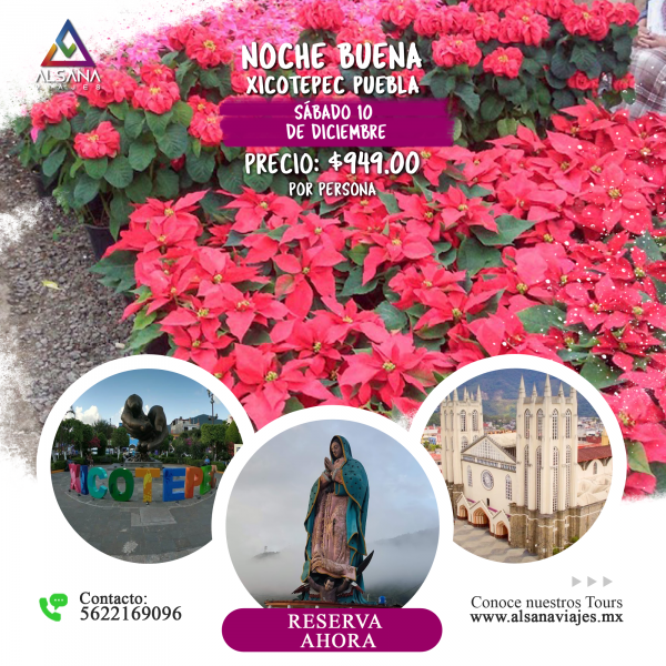 Xicotepec + Nochebuena, 10 Dic