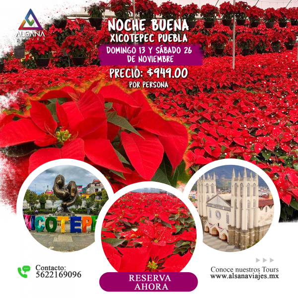Xicotepec + Nochebuena,  26 Noviembre