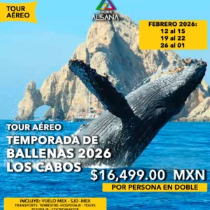 Avistamiento de Ballenas + Camellos, Los Cabos, Tour Aéreo, Febrero 2026