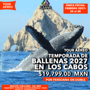Avistamiento de Ballenas + Camellos, Los Cabos, Tour Aéreo, Febrero 2027