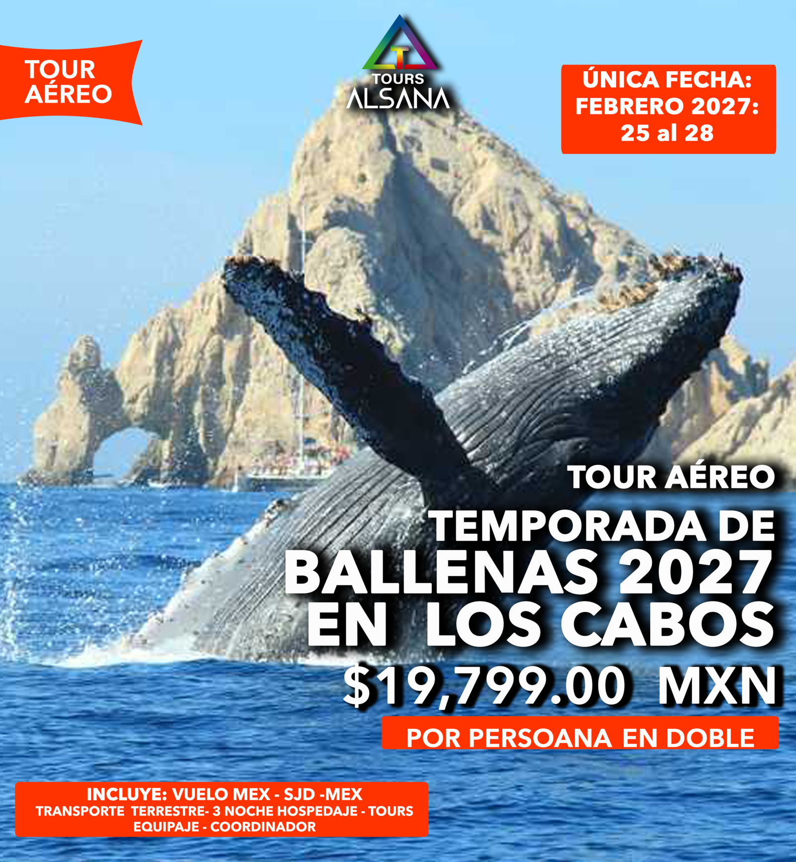 Avistamiento de Ballenas + Camellos, Los Cabos, Tour Aéreo, Febrero 2027