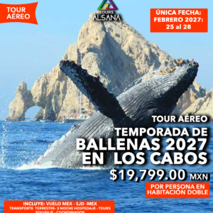 AVISTAMIENTO DE BALLENAS + CAMELLOS,, Los Cabos, Tour Aéreo, Febrero 2027