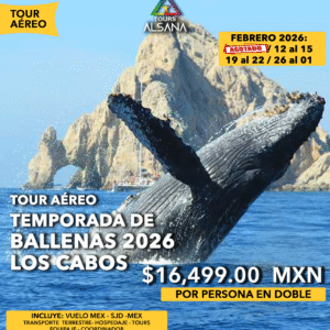 Avistamiento de Ballenas + Camellos, Los Cabos, Tour Aéreo, Febrero 2026