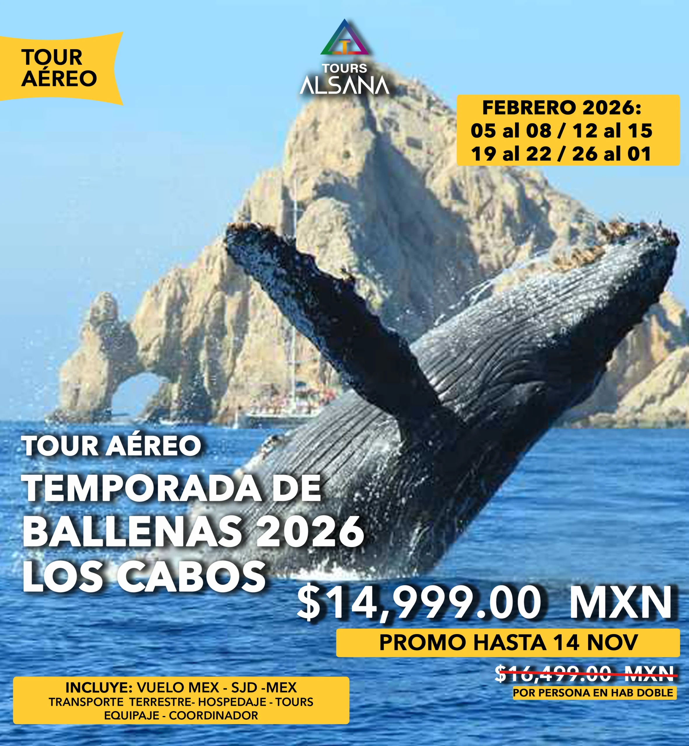 Avistamiento de Ballenas + Camellos, Los Cabos, Tour Aéreo, Febrero 2026