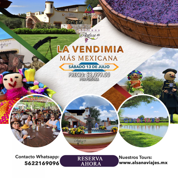 VENDIMIA VIÑEDOS AZTECA 2024, 20 de Julio
