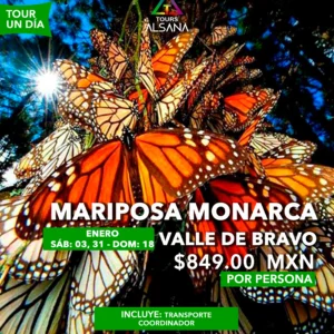 Mariposa Monarca + Valle de Bravo, 18, 31 de Enero