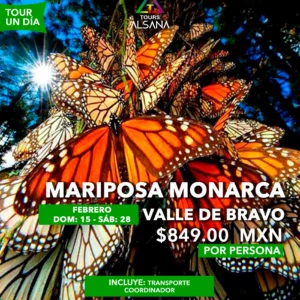 Mariposa Monarca + Valle de Bravo, 15 y 28 Feb