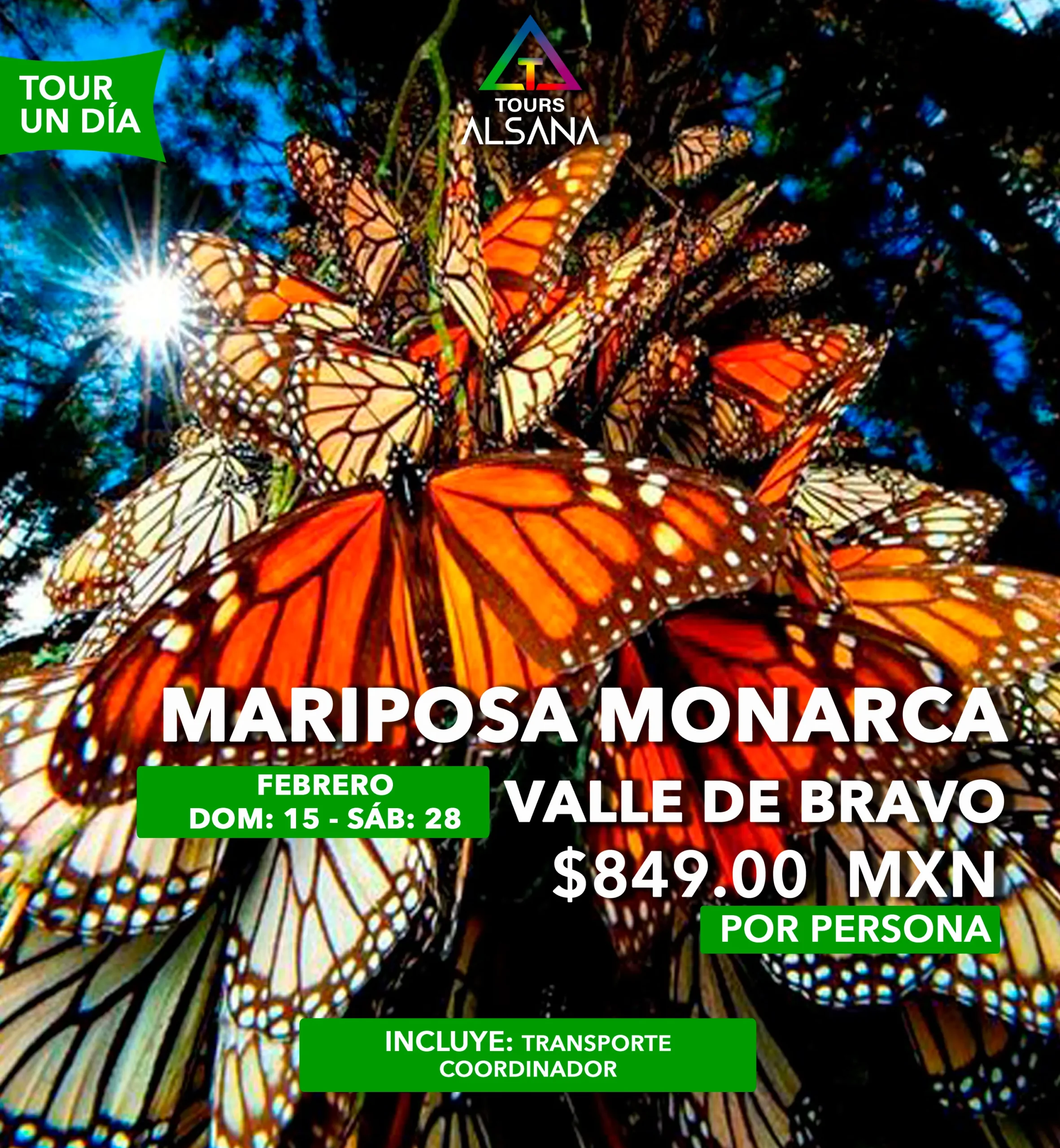 Mariposa Monarca + Valle de Bravo, 28 Feb - Image 2
