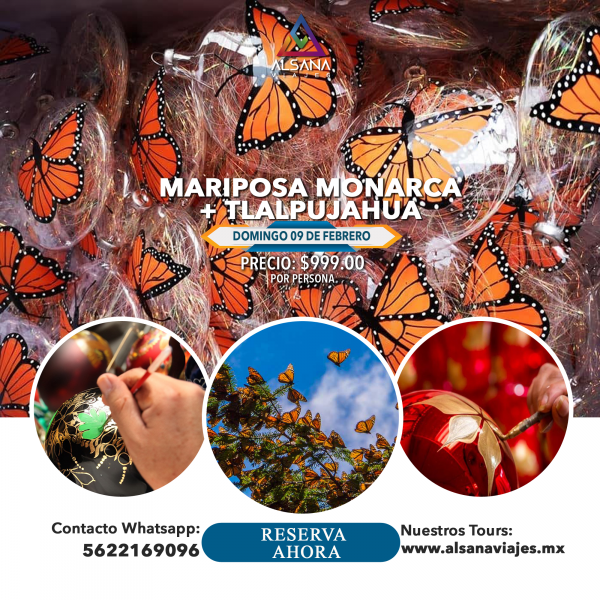 Mariposa Monarca + Tlalpujahua, 09 de Febrero