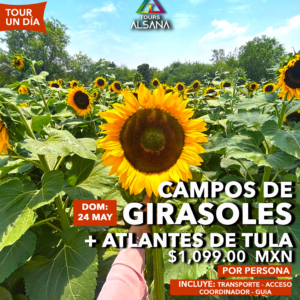 Campos de Girasoles + Atlantes de Tula, 24 May, 28 Jun