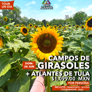 Campos de Girasoles + Atlantes de Tula, 28 Jun