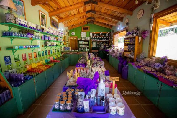 Bosque de Luciérnagas + Campos de Lavanda, 27 y 28 de Julio - Image 4