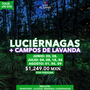 Santuario de Luciérnagas + Campos de Lavanda, Temporada 2026