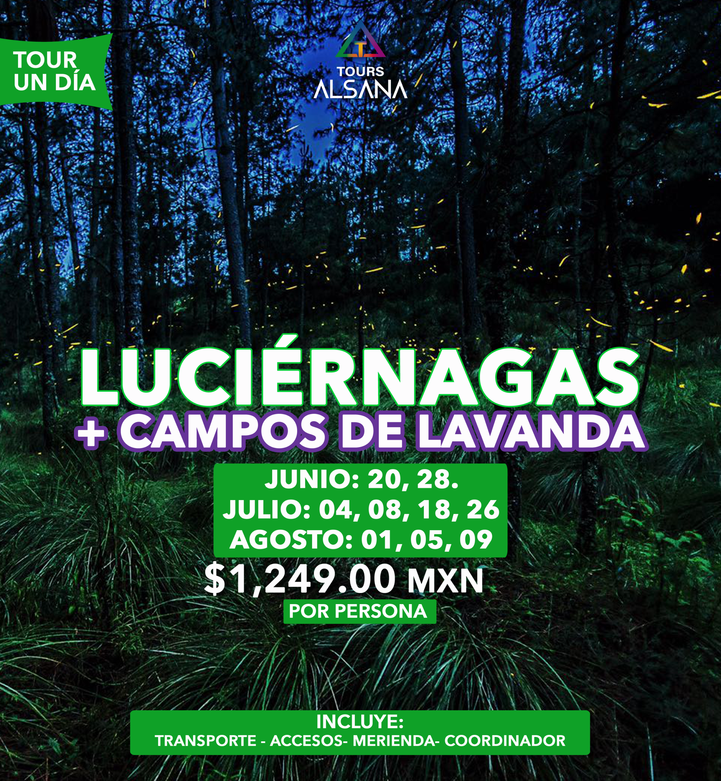 Santuario de Luciérnagas + Campos de Lavanda, Temporada 2026