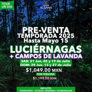 Luciérnagas + Campos de Lavanda, Temporada 2025