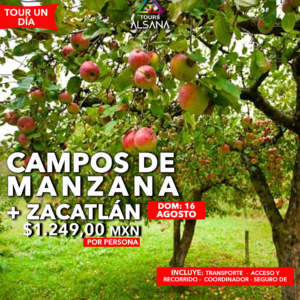 Campo de Manzana + Zacatlán, 16 de Agosto