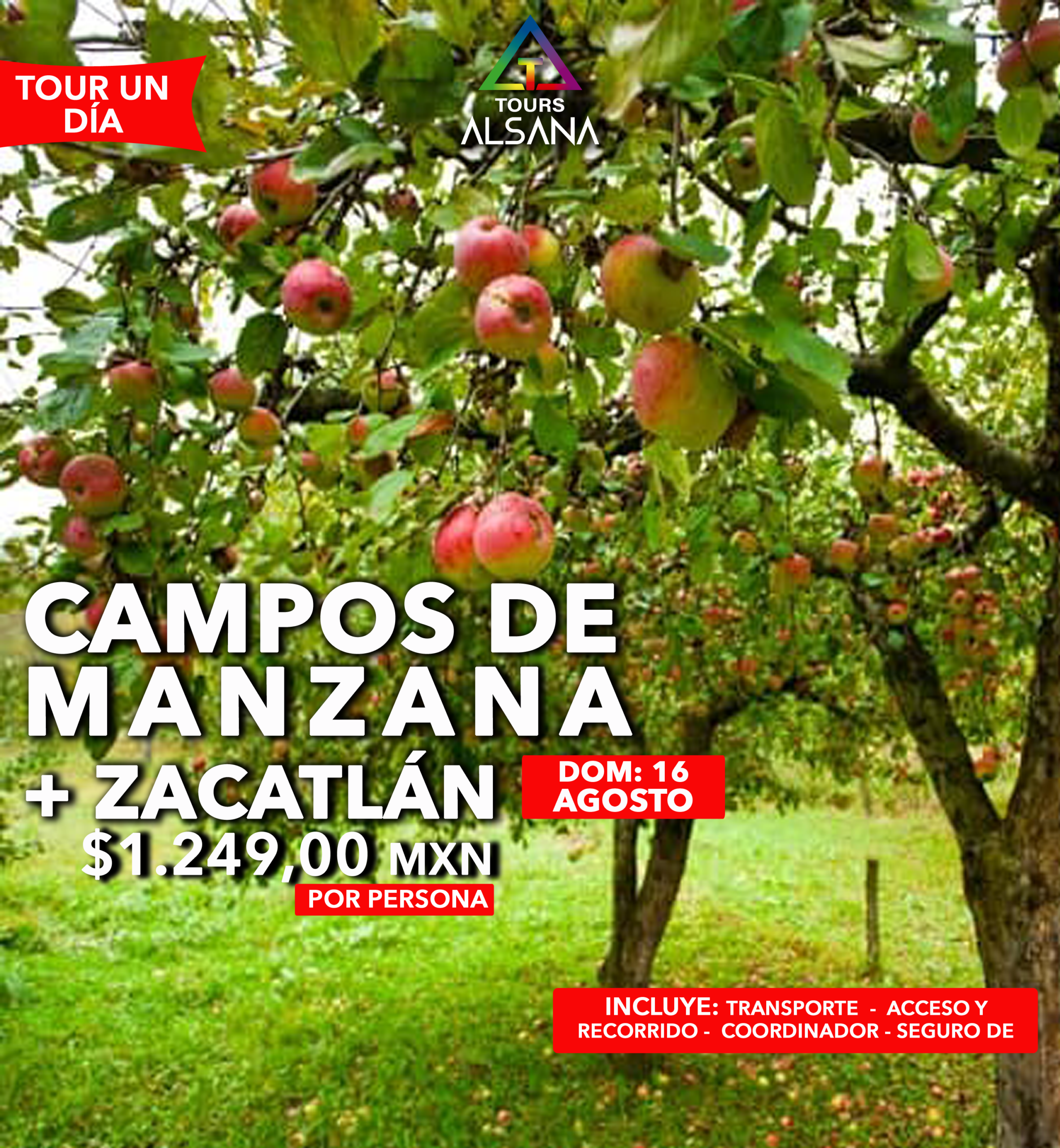 Campo de Manzana + Zacatlán, 16 de Agosto