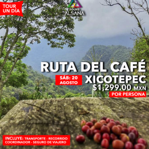 Ruta del Café Xicotepec, 29 de Agosto