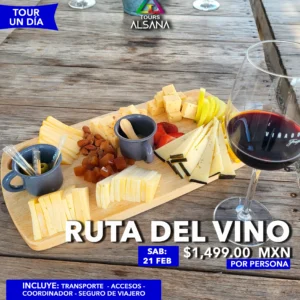 Ruta del Vino: Viñedos Azteca + Bernal, 21 Feb
