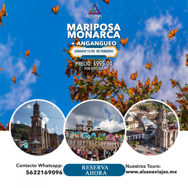 Mariposa Monarca + Angangueo, 15 de Febrero