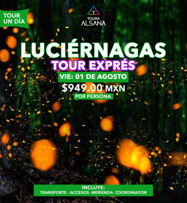 Luciérnagas Tours Exprés, 01 Agt