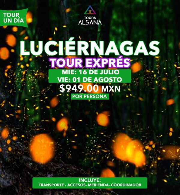 Luciérnagas Tours Exprés, Entre Semana