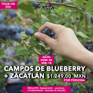 Campos Blueberry +Zacatlán, 05, 18 de Julio