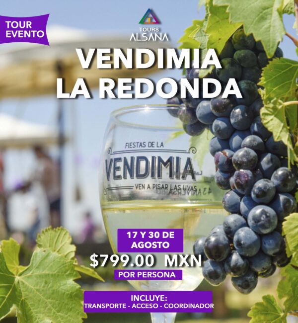 VENDIMIA VIÑEDOS LA REDONDA 2025, 17 Y 30 de Agosto
