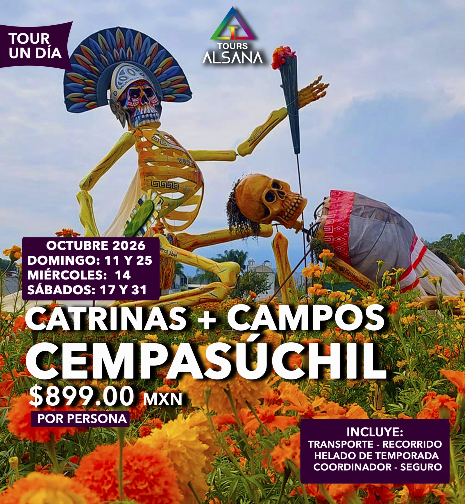 Campos de Cempasúchil + Chipilo, 24 Oct, 01 Nov