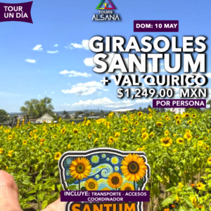 Campos de Girasoles y Val´quirico, 10 de Mayo