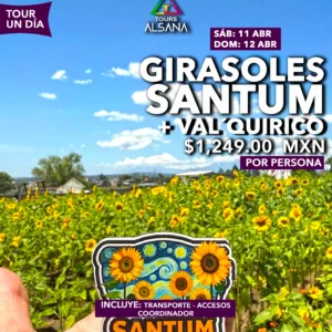 Campos de Girasoles y Val´quirico, 11 y 12 de Abril