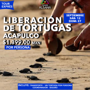 Liberación de Tortugas, Acapulco, 27 Sep