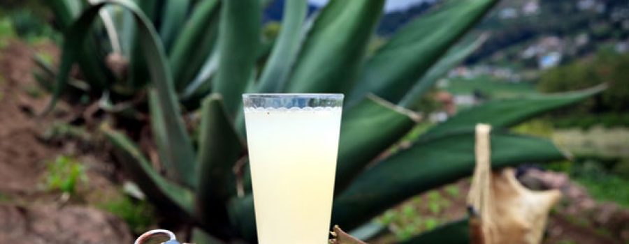 pulque1 pulque1